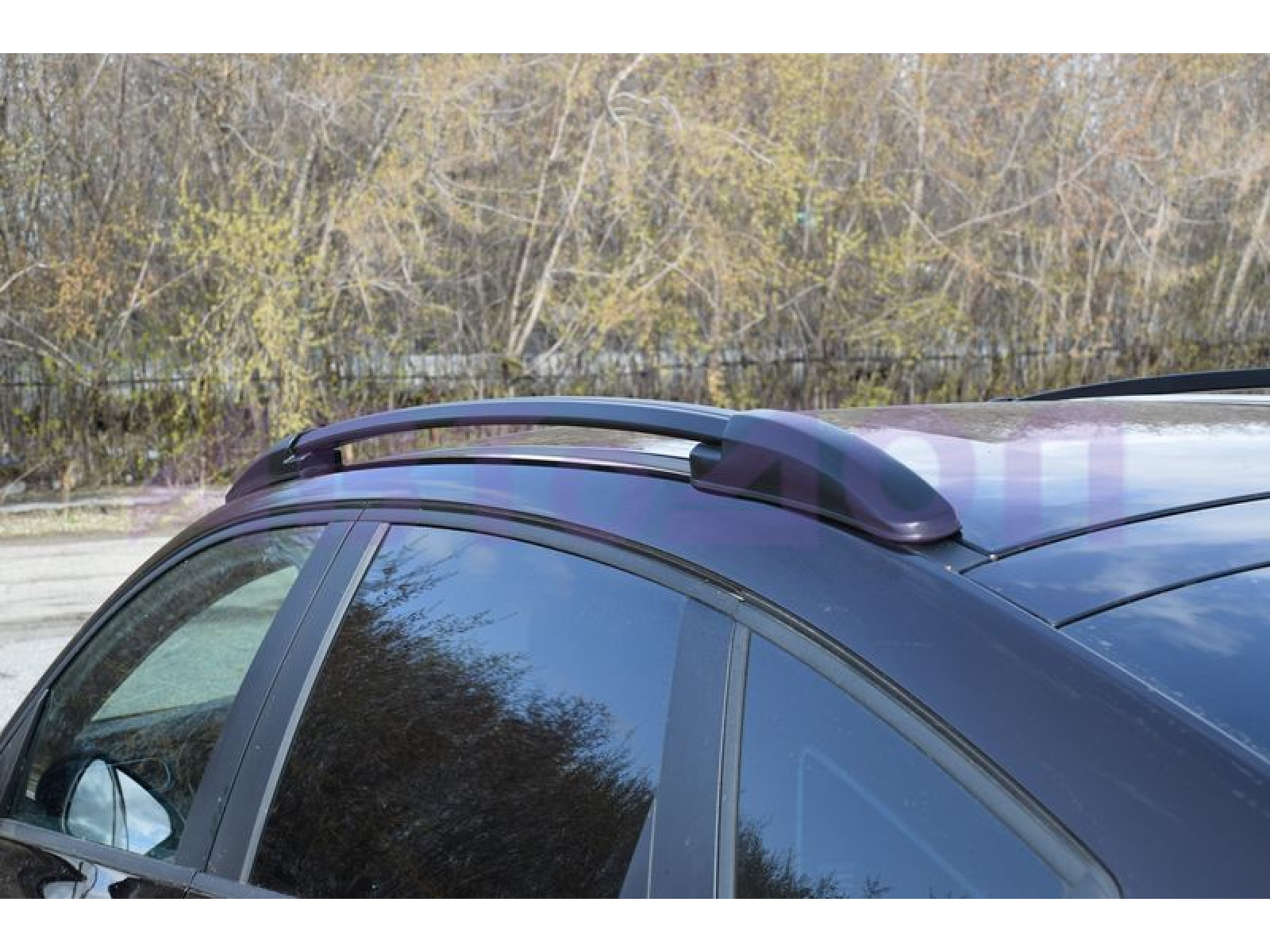 Рейлинги RENAULT Arkana c 2019 -