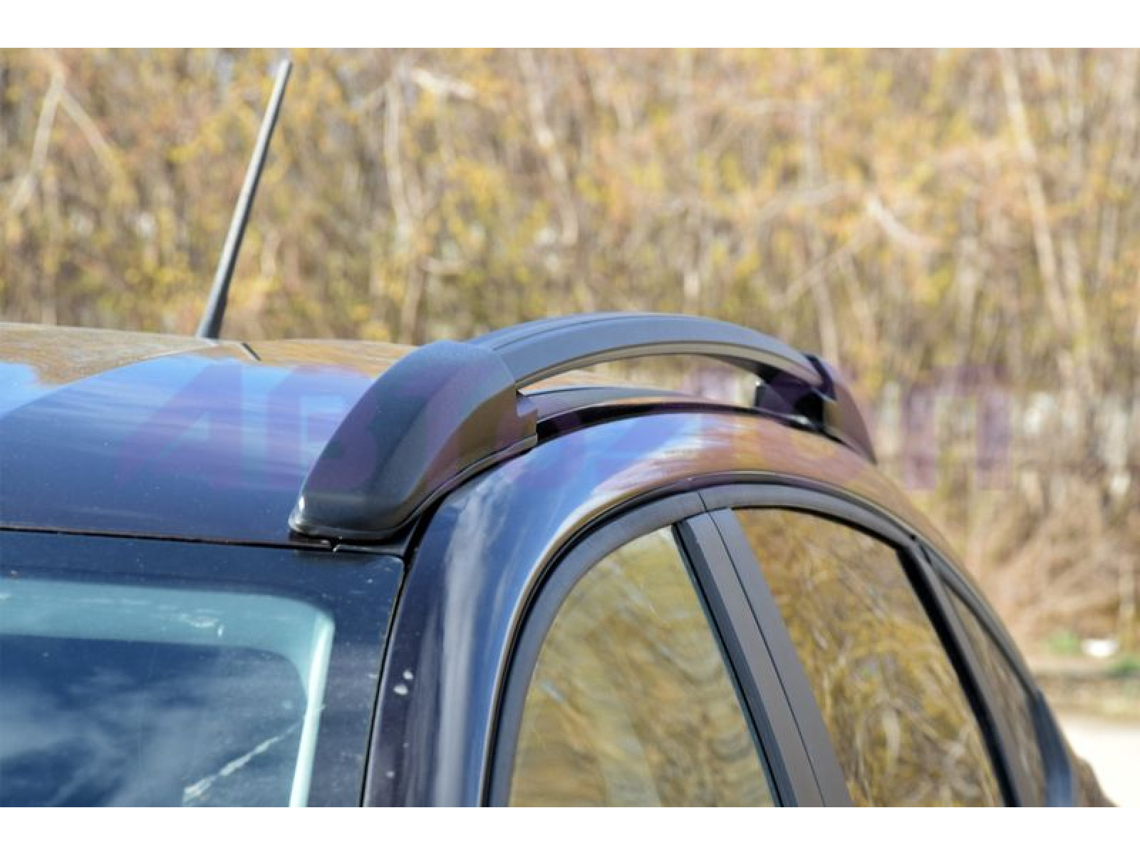 Рейлинги RENAULT Arkana c 2019 -